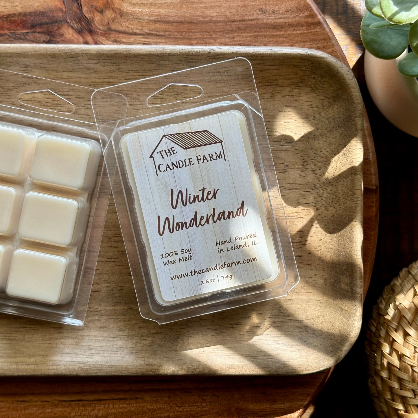 Winter Wonderland wax melt