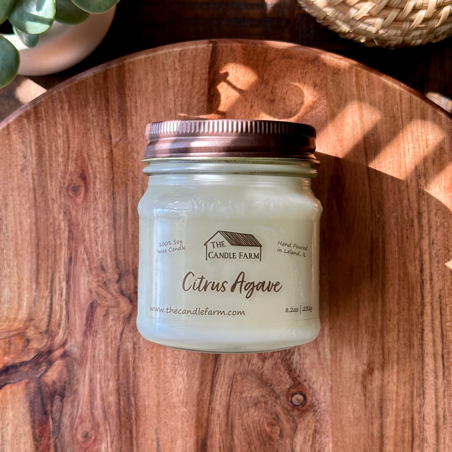 Citrus Agave 8 oz candle